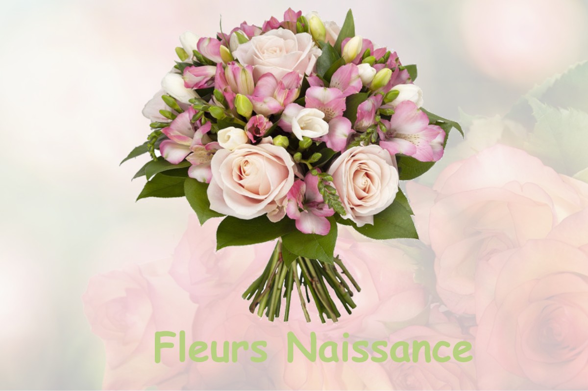 fleurs naissance LE-MONESTIER-DU-PERCY