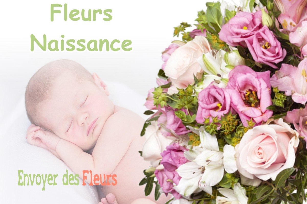 lIVRAISON FLEURS NAISSANCE à LE-MONESTIER-DU-PERCY